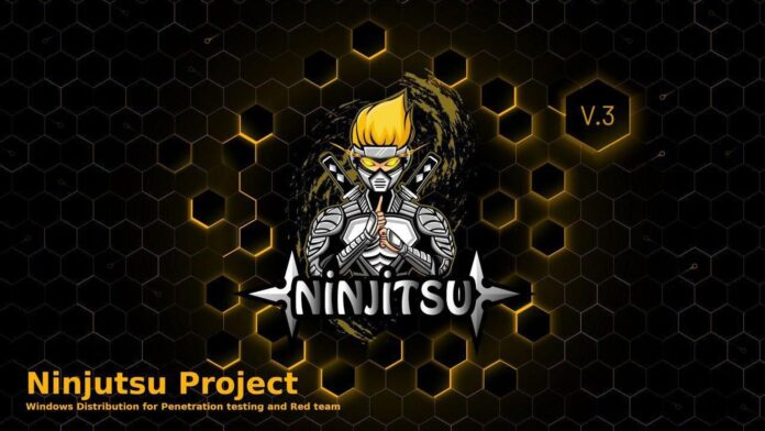 Ninjutsu v3 (WINDOWS 10 PRO 2004 [19041.450] X64)