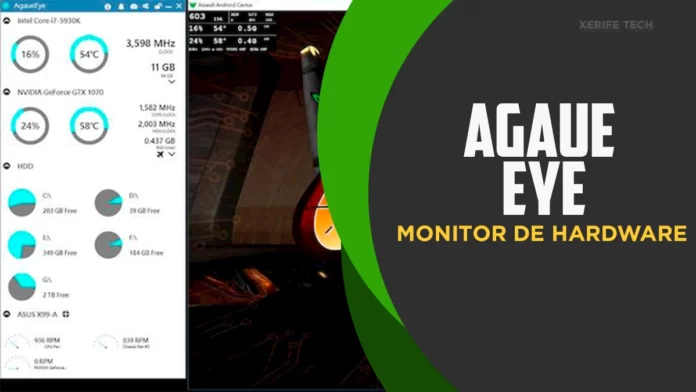 Agaue Eye