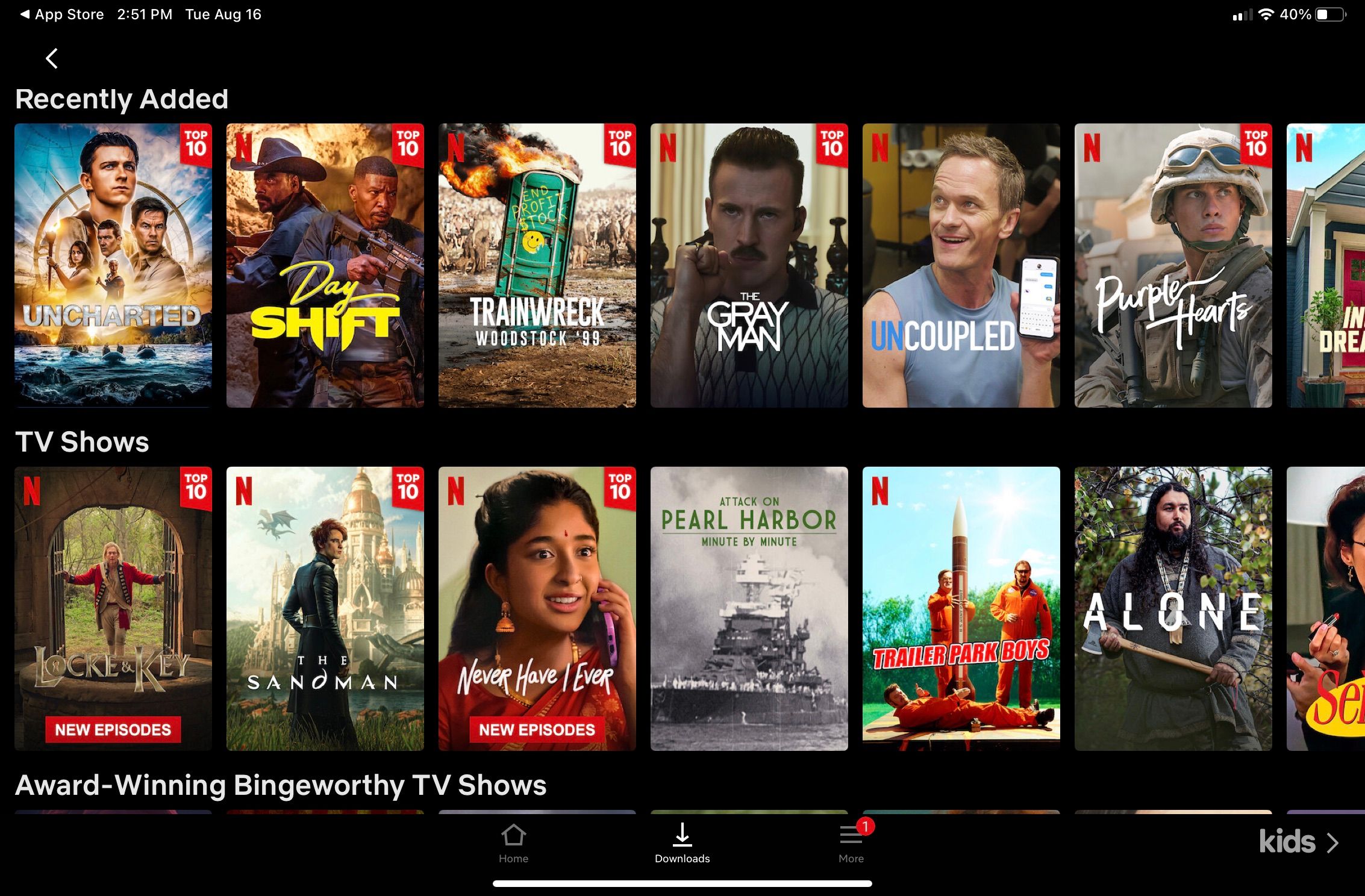 Opções de conteúdo de download da Netflix - Inclui seção de programas de TV e adicionados recentemente