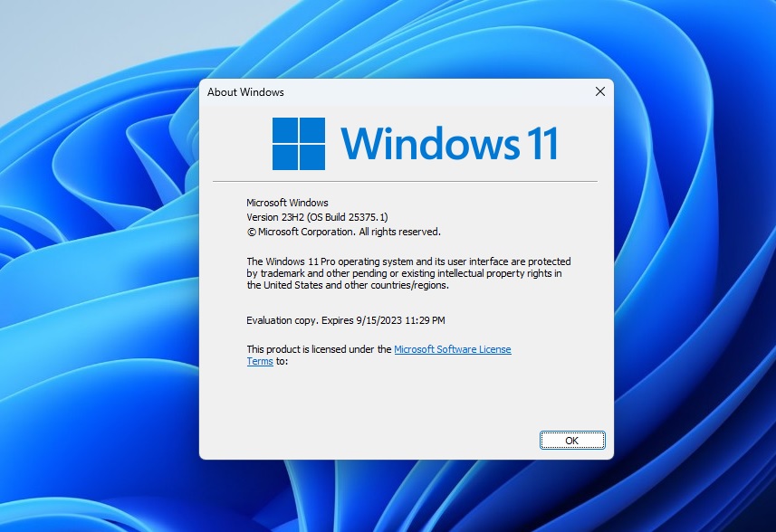 Windows 11 23H2 vencedor